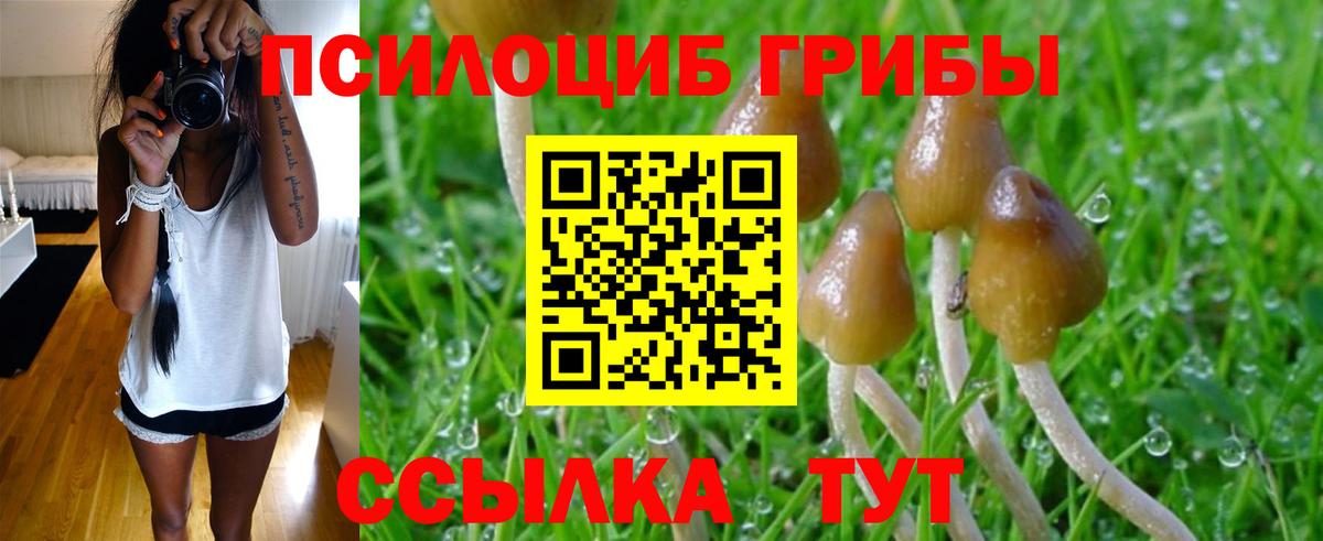 Серов  наркота  Галлюциногенные грибы Psilocybe  Вход с VPN  Галлюциногенные грибы Psilocybe 