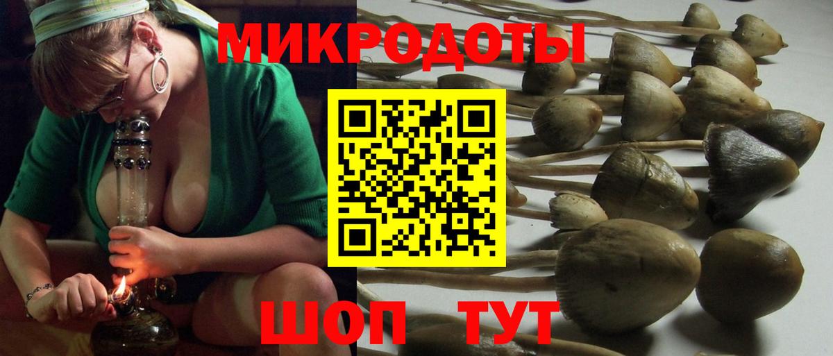 Псилоцибиновые грибы GOLDEN TEACHER Серов